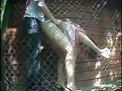 ghetto hậu Môn châu Á co ba phimsechay nguoi